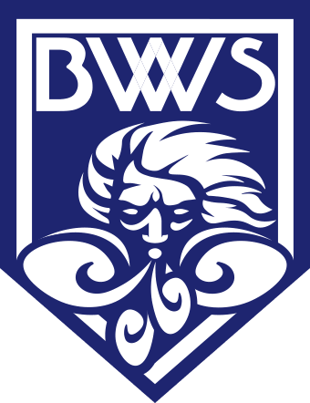 福井ブローウィンズ